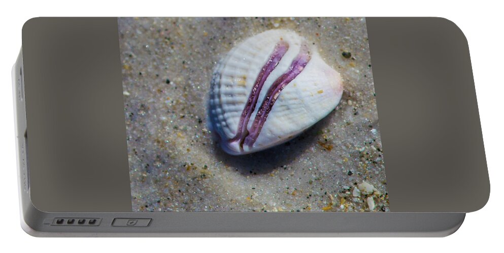 Susan Molnar Portable Battery Charger featuring the photograph Seaside Treasure 4 by Susan Molnar