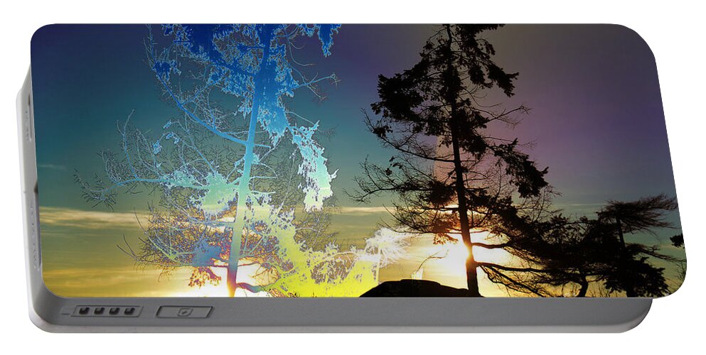  Portable Battery Charger featuring the photograph Sechelt Tree 2 by Elaine Hunter
