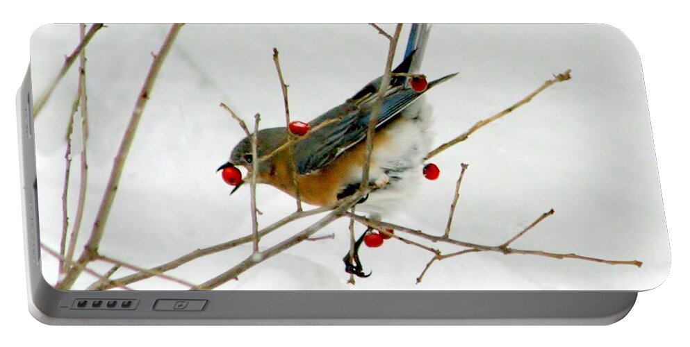 Bird Portable Battery Charger featuring the photograph Second Helping by Barbara S Nickerson