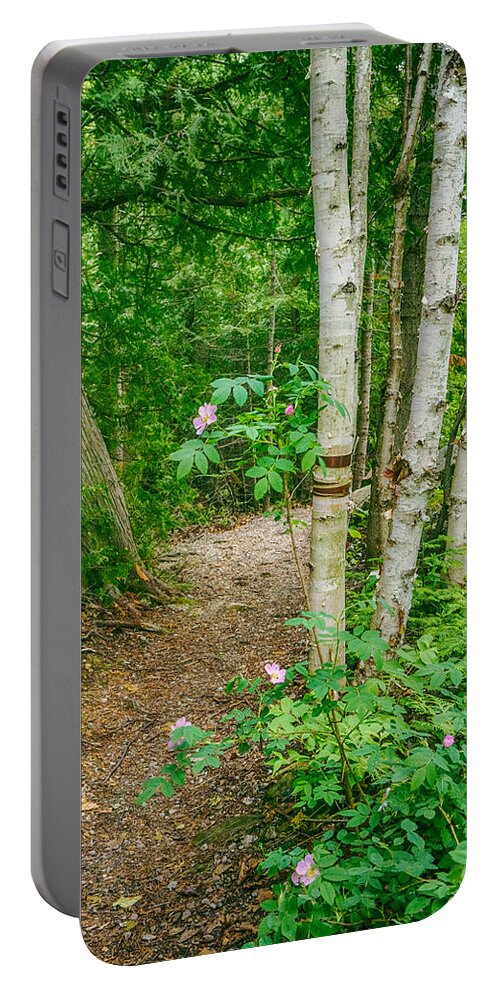 Secret Portable Battery Charger featuring the photograph Secret Garden Path by Amanda Jones