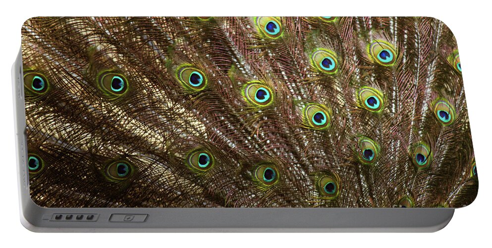 Landscape Portable Battery Charger featuring the photograph See Eye to Eye by Donna L Munro