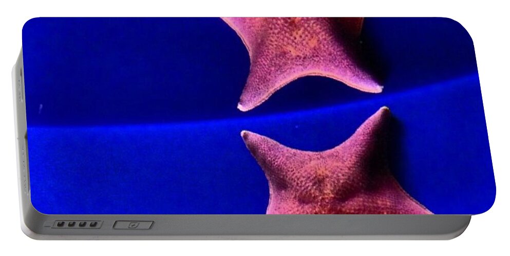 Star Fish Portable Battery Charger featuring the photograph Seeing Double by Denise Railey