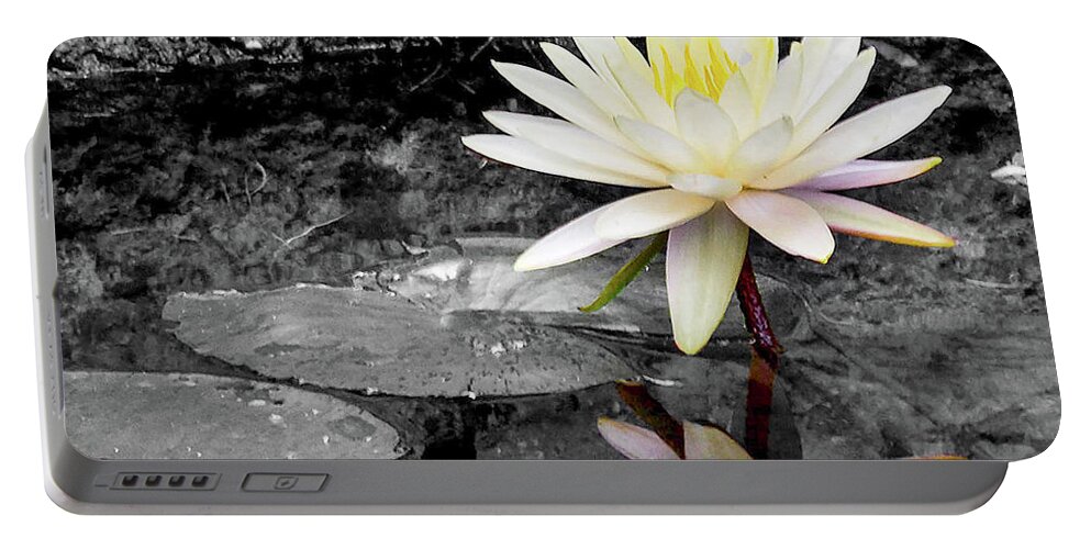 Lotus Portable Battery Charger featuring the photograph Self Reflection by Bradley Dever