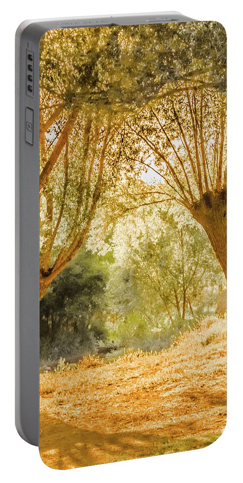 Turkey Portable Battery Charger featuring the photograph Selime, Turkey - Enchanted Trees by Mark Forte