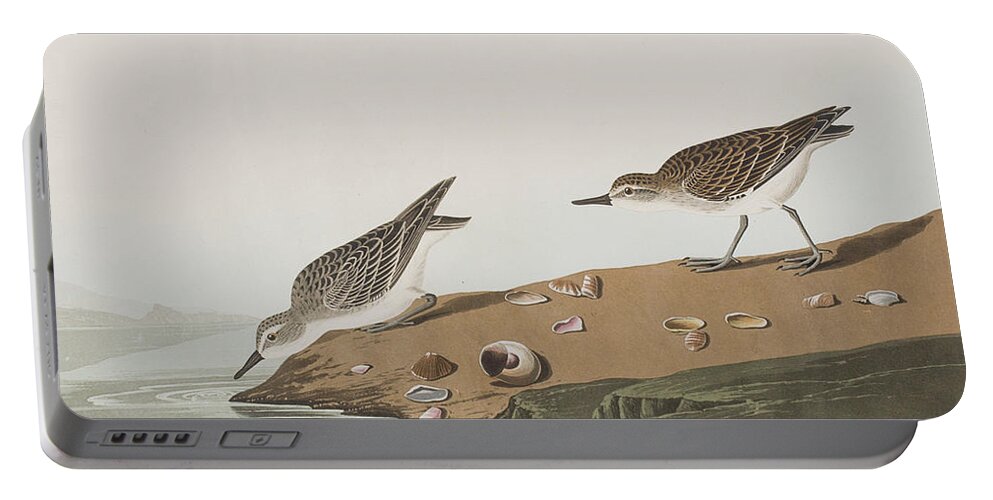 Sandpiper Portable Battery Charger featuring the painting Semipalmated Sandpiper by John James Audubon