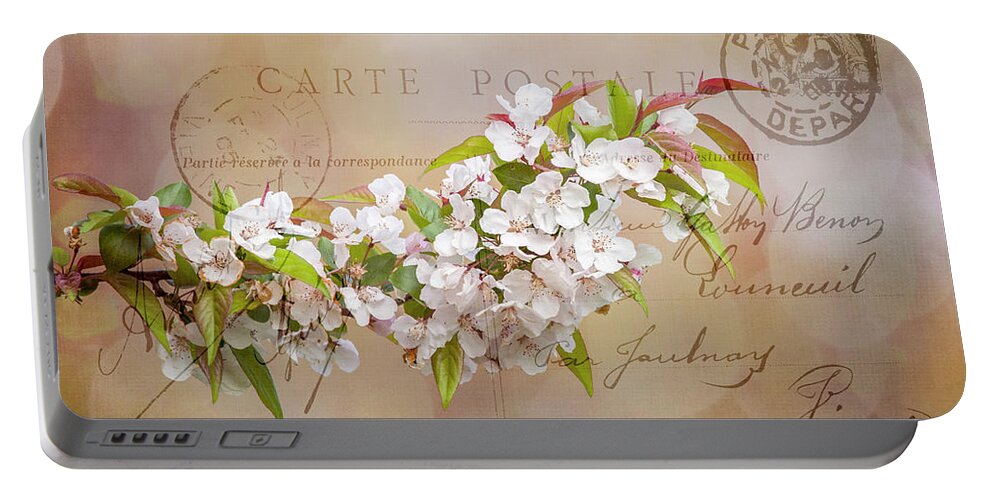 Apple Portable Battery Charger featuring the photograph Sending Spring by Cathy Kovarik