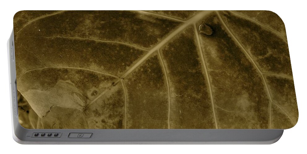 Leaf Portable Battery Charger featuring the photograph Sepia Foliage by Mafalda Cento