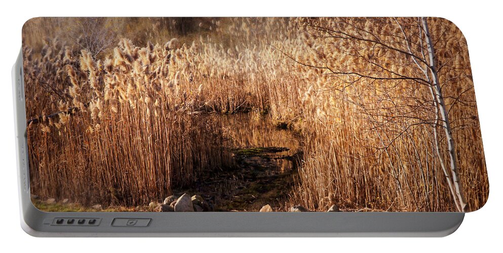 Landscape Portable Battery Charger featuring the photograph Sepia of Late Fall by Lilia S
