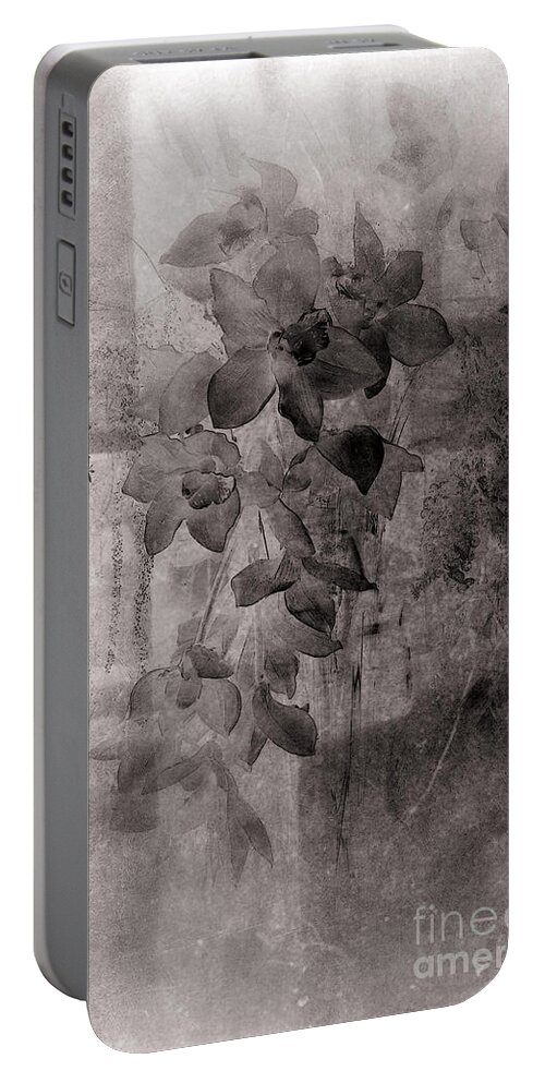 Flower Portable Battery Charger featuring the photograph Serenade by Susanne Van Hulst