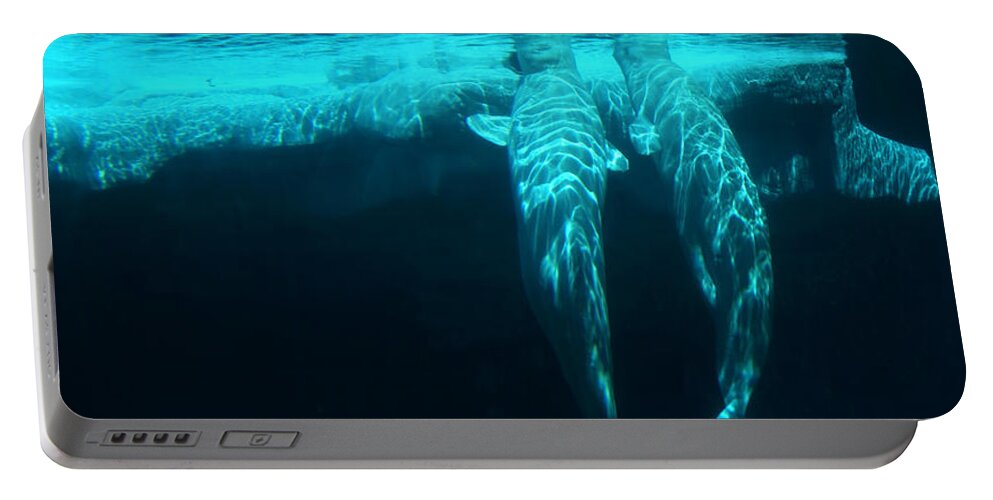 Whale Portable Battery Charger featuring the photograph Serenity by Linda Shafer