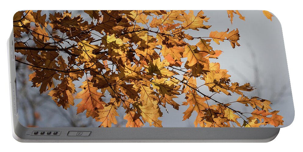 Leaves Portable Battery Charger featuring the photograph Shadow and Light - by Julie Weber