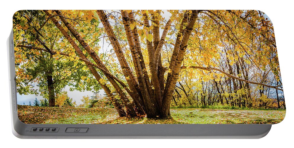 Landscapes Portable Battery Charger featuring the photograph Shadows by Claude Dalley