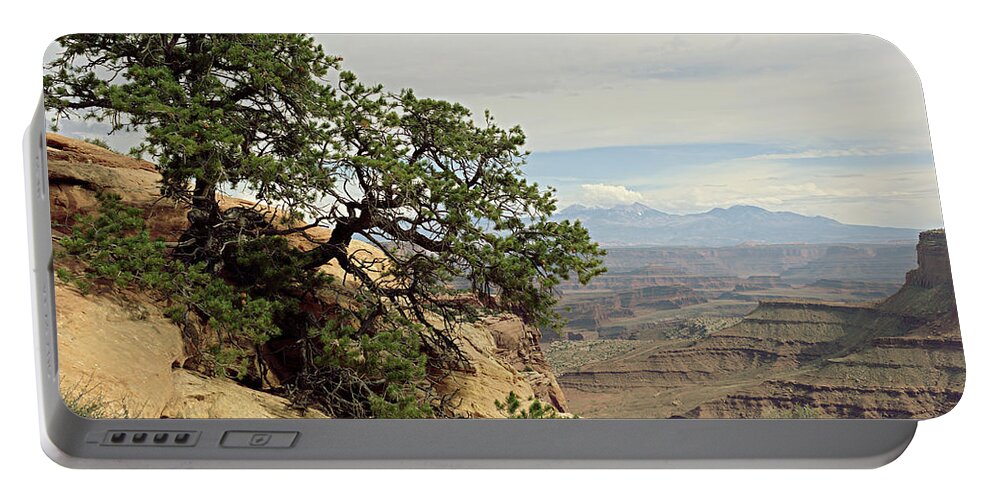 Tree Portable Battery Charger featuring the photograph Shafer Canyon Overlook by Peter J Sucy