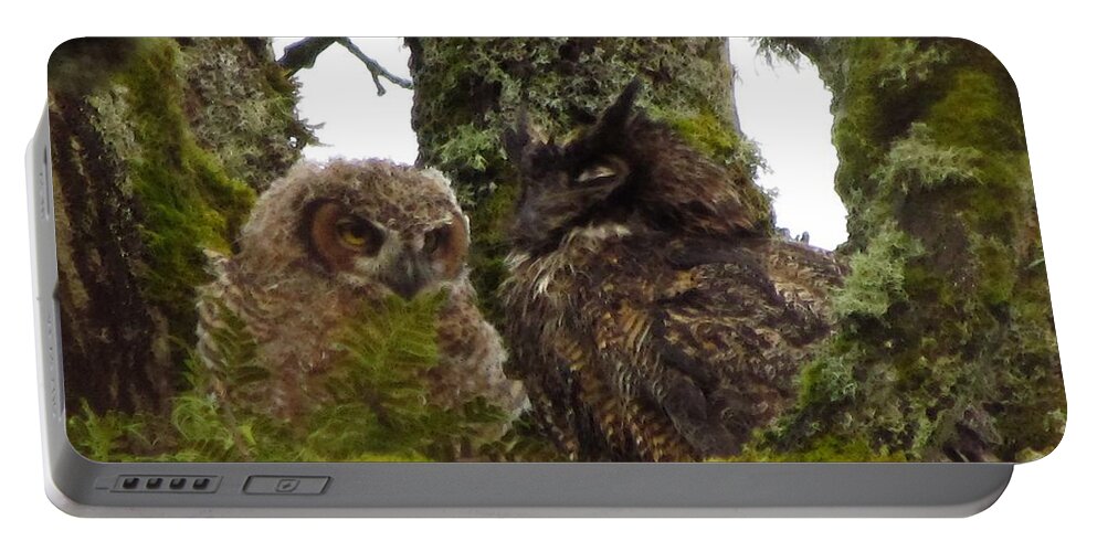 Great Horned Owl And Owlet Portable Battery Charger featuring the photograph Sharing Ancient Wisdoms by I'ina Van Lawick