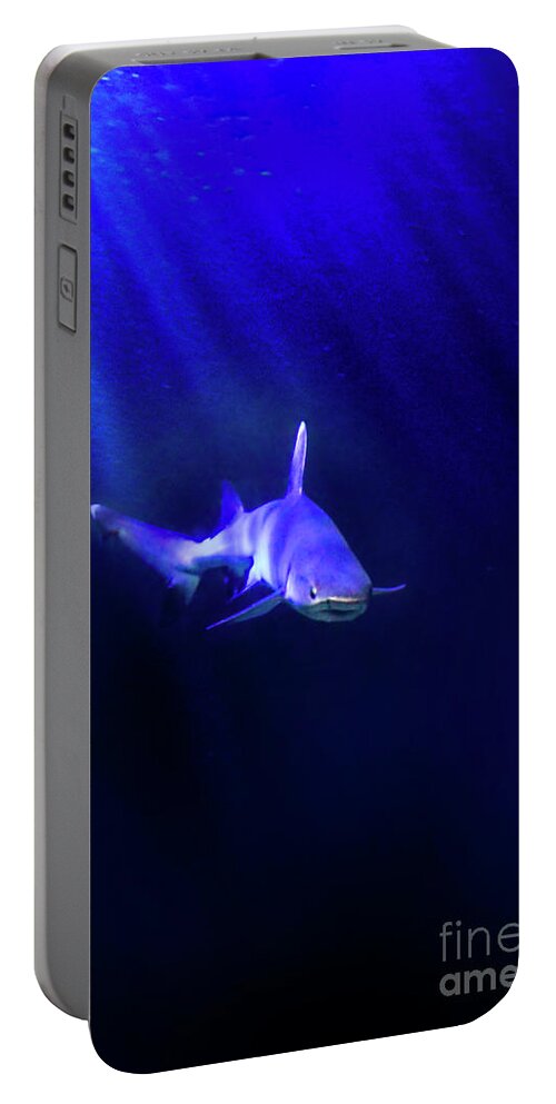 Shark Portable Battery Charger featuring the photograph Shark by Jill Battaglia