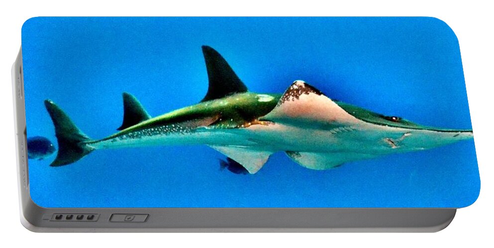 Fish Portable Battery Charger featuring the photograph Shark or Stingray by Eileen Brymer