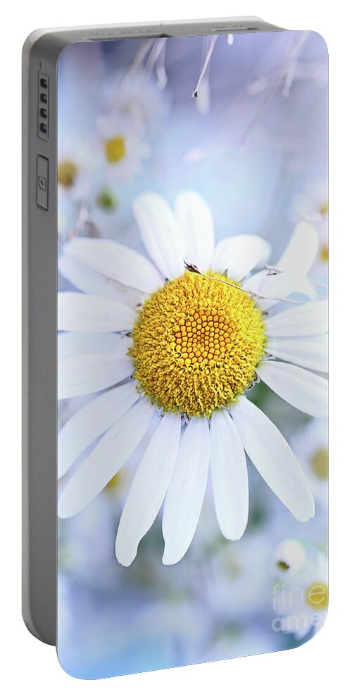 Black Eyed Susan Portable Battery Charger featuring the photograph Shasta Daisy by Stephanie Frey