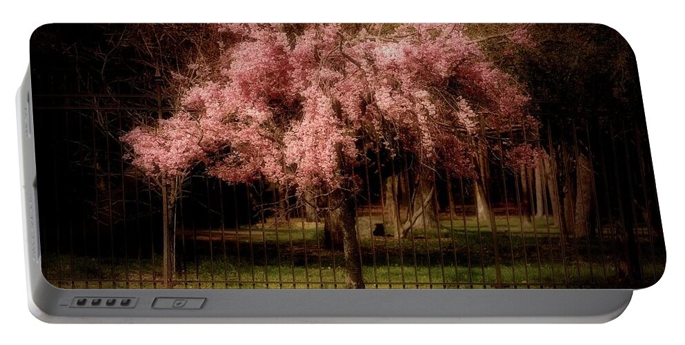 Cherry Blossom Tree Portable Battery Charger featuring the photograph She Weeps - Ocean County Park by Angie Tirado