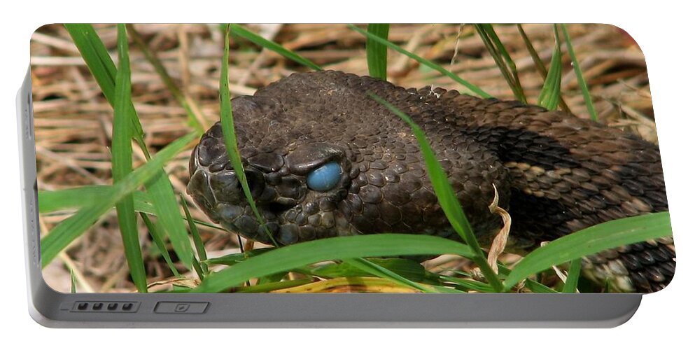 Timber Rattlesnake Shed Blue Reptile Snake Portable Battery Charger featuring the photograph Shedding Timber by Steven Shaffer