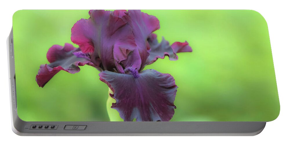Flower Portable Battery Charger featuring the photograph Sheer Elegance by Deborah Crew-Johnson