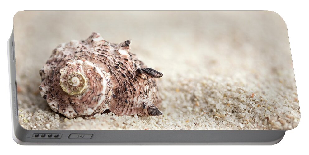 Shell Portable Battery Charger featuring the photograph Shell And Sand by MindGourmet