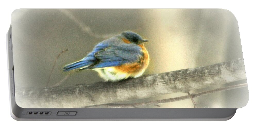 Bird Portable Battery Charger featuring the photograph Shivering by Barbara S Nickerson