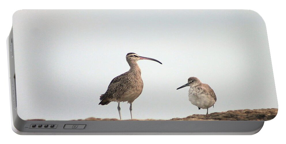 Shorebirds Portable Battery Charger featuring the photograph Shorebirds of Windansea Beach by Bruce Patrick Smith