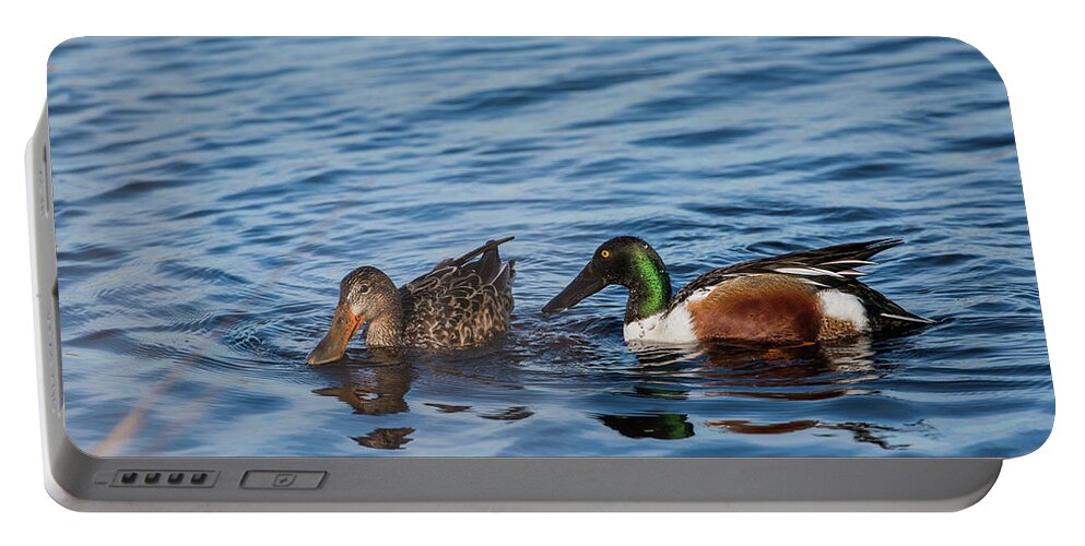 Animals Portable Battery Charger featuring the photograph Shoveler Pair by Robert Potts