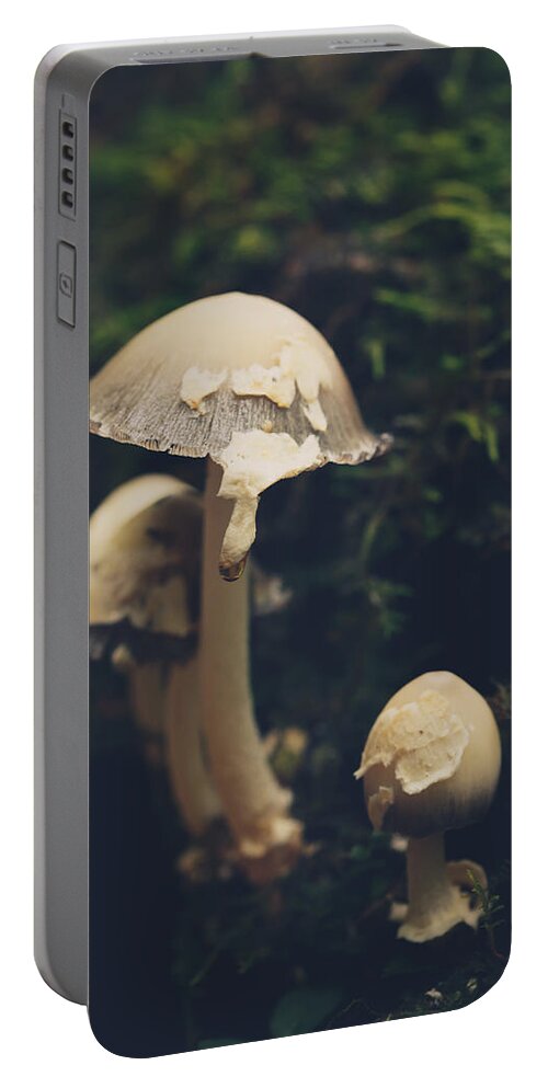 Mushroom Portable Battery Charger featuring the photograph Shroom Family by Shane Holsclaw