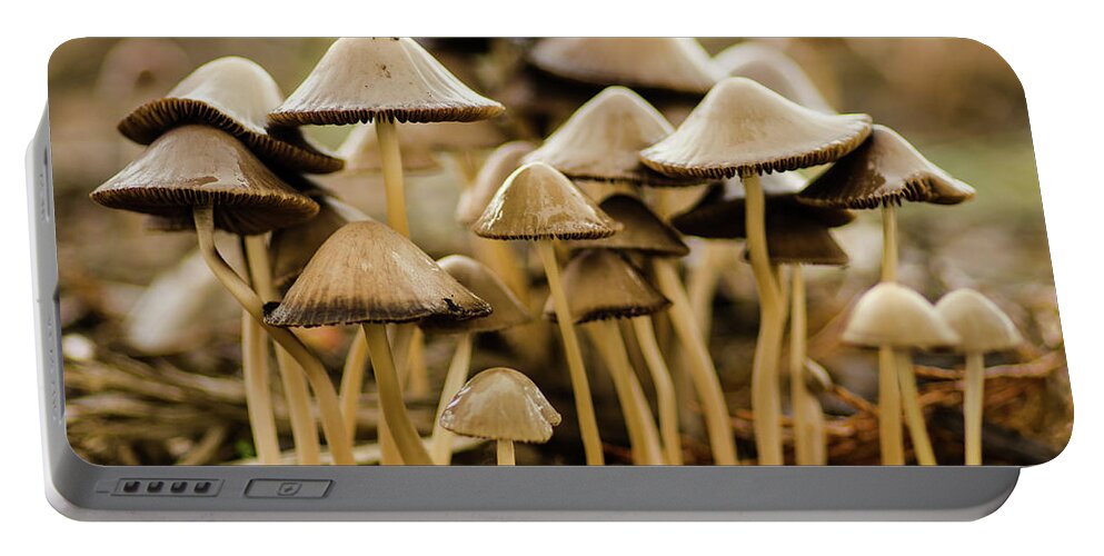 Mushrooms Portable Battery Charger featuring the photograph Shrooms by Nick Boren