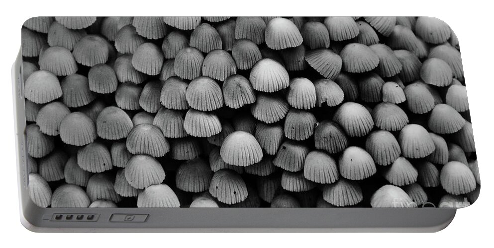 Intense Portable Battery Charger featuring the photograph Shrooms by Skip Willits