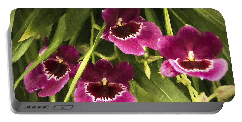 Flowers Portable Battery Charger featuring the photograph Shy, Confident, Tentative and Awkward Orchids by Penny Lisowski