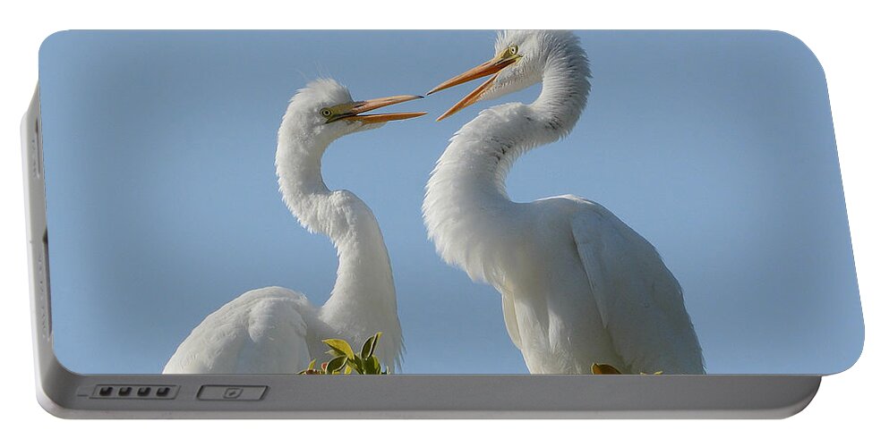 Great Egret Chicks Portable Battery Charger featuring the photograph Siblings 2 by Fraida Gutovich