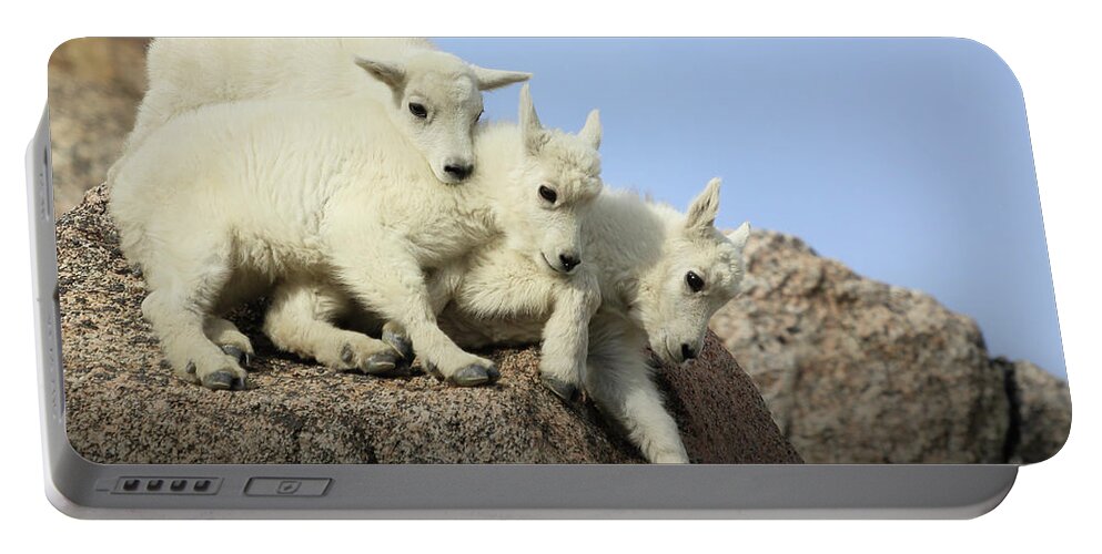 Siblings Portable Battery Charger featuring the photograph Siblings by Brian Gustafson