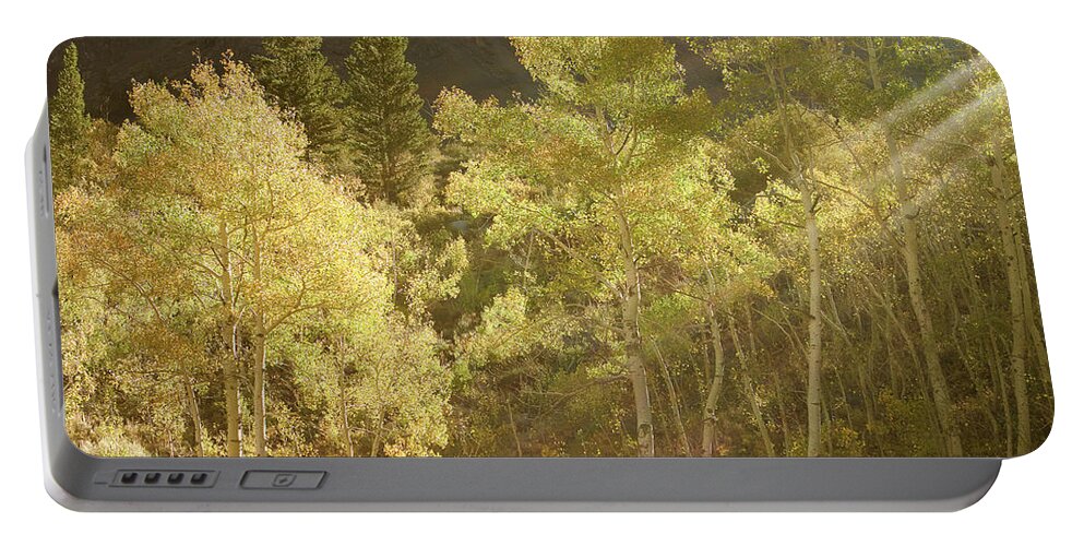 Fall Colors Portable Battery Charger featuring the photograph Side-lit Aspens - Autumn in Eastern Sierra California by Ram Vasudev