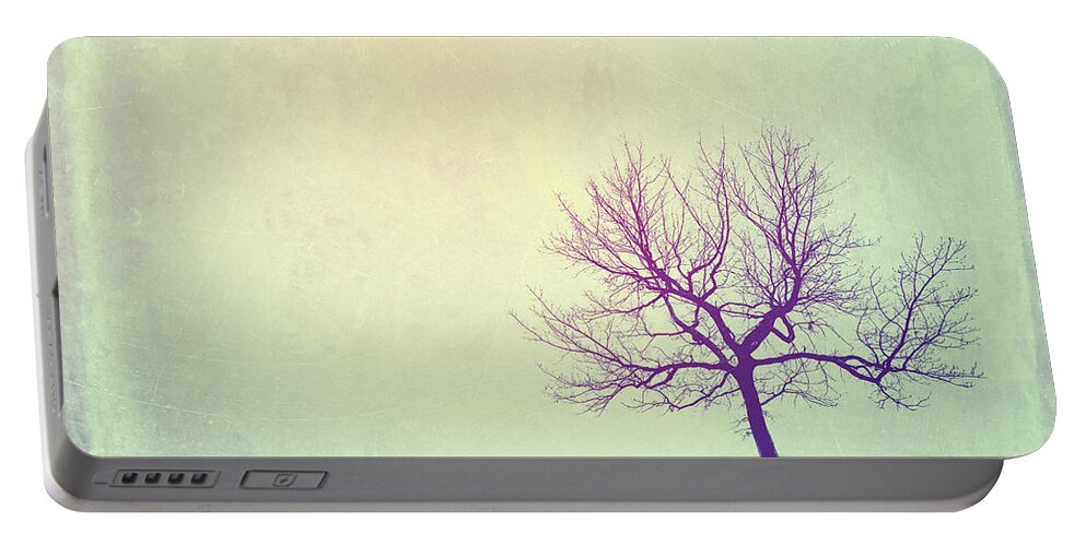 Tree Portable Battery Charger featuring the photograph Silence to Chaos - 11t01 by Variance Collections