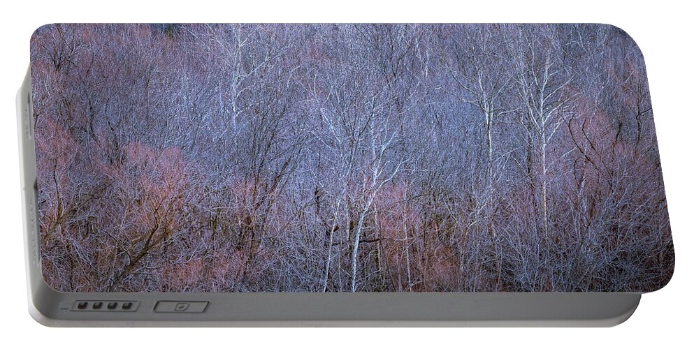 Trees Portable Battery Charger featuring the photograph Silent Trees by Allin Sorenson