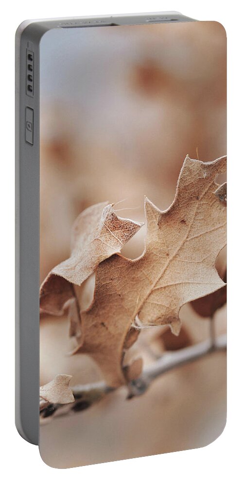 Sky Is The Limit Images Portable Battery Charger featuring the photograph Silent Whispers by Becca Buecher