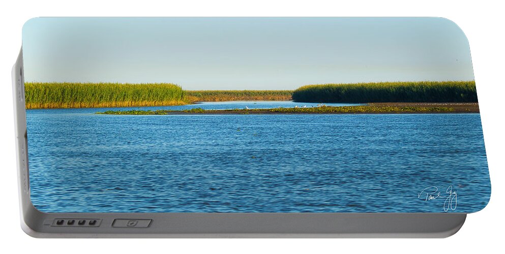 Gulf Of Mexico Portable Battery Charger featuring the photograph Silt Islands and Banks Mississippi River Delta Louisiana by Paul Gaj