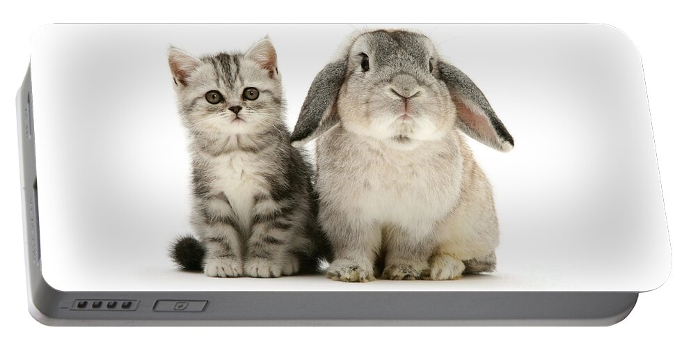Silver Portable Battery Charger featuring the photograph Silver Tabby and Rabby by Warren Photographic