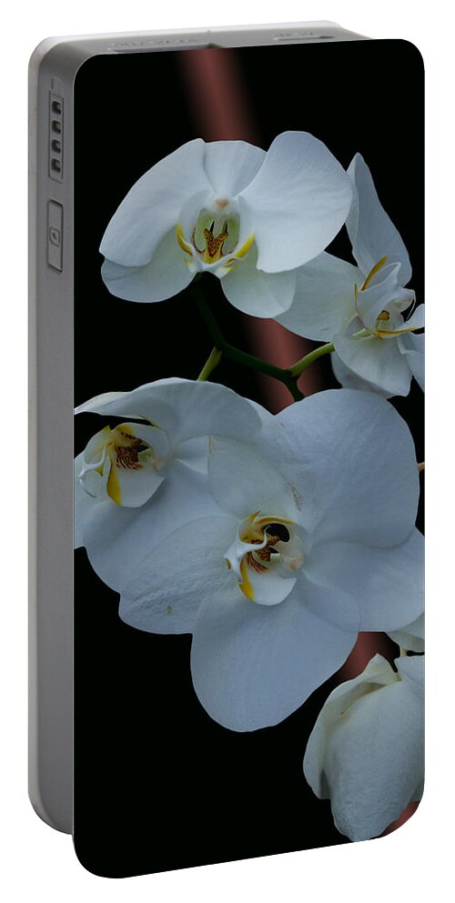 #orchids Portable Battery Charger featuring the photograph Simple Elegance by Ramabhadran Thirupattur