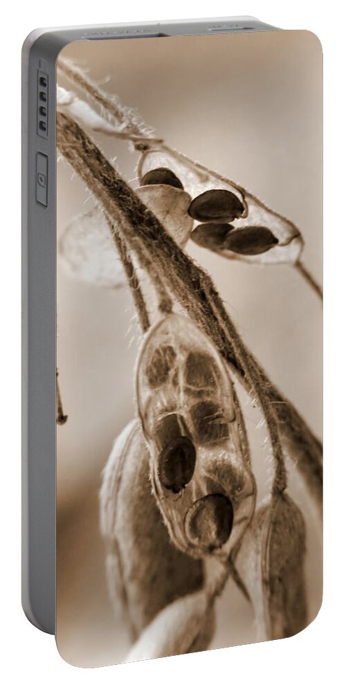 Macro Portable Battery Charger featuring the photograph Simplicity in Sepia by Lauren Radke