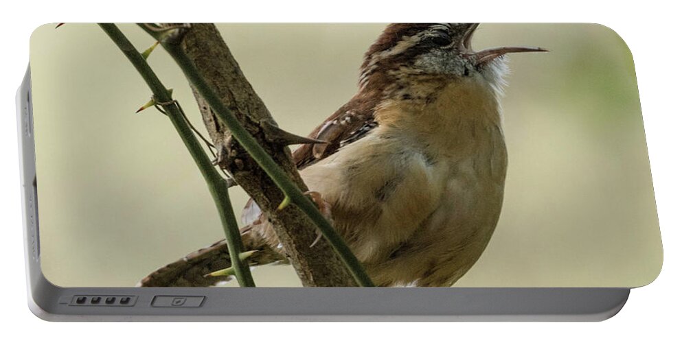 Bird Portable Battery Charger featuring the photograph Sing a New Song by Jody Partin