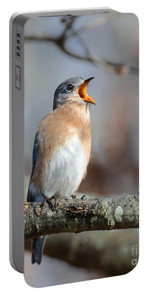 Bluebird Portable Battery Charger featuring the photograph Singing This Song For You by Amy Porter