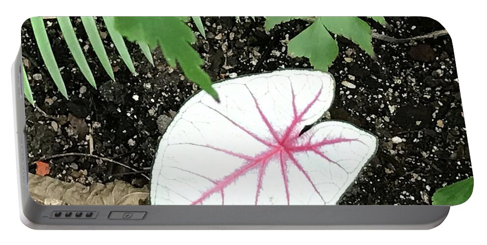 Flowers Portable Battery Charger featuring the photograph Single Leave by Jean Wolfrum