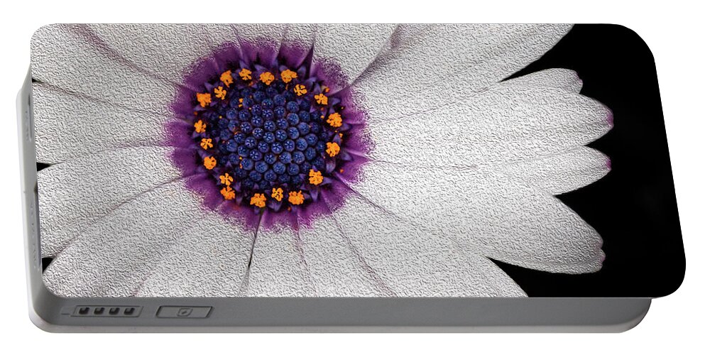 Daisy Portable Battery Charger featuring the photograph Singular Complexity by Vanessa Thomas