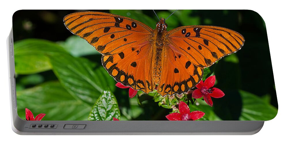 Wildlife Portable Battery Charger featuring the photograph Sipping Gulf Fritillary by Kenneth Albin