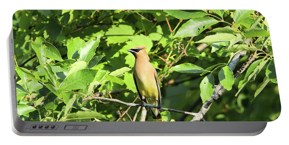 Wildlife Portable Battery Charger featuring the photograph Sitting Pretty by David Stasiak