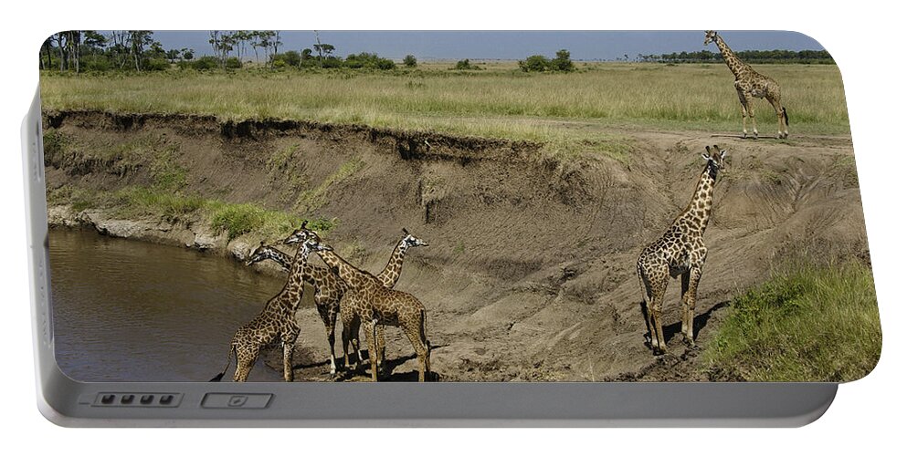 Africa Portable Battery Charger featuring the photograph Six is a Crowd by Michele Burgess