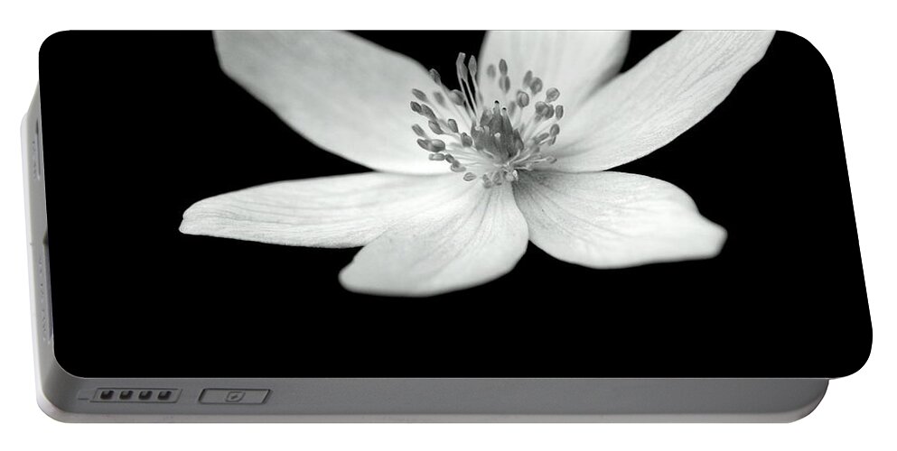 Monochrome Flower Petals Stamens On-black On-dark Portable Battery Charger featuring the photograph Six petals in monochrome by Ian Sanders